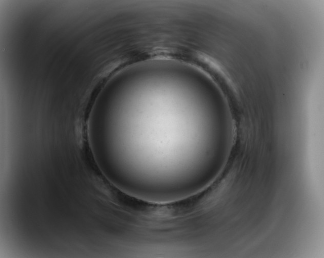 X0000089451217200706151425
