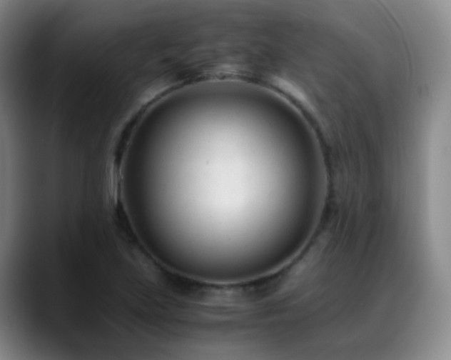 X0000089451219200706151425