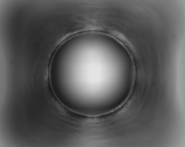 X0000089451220200706151426