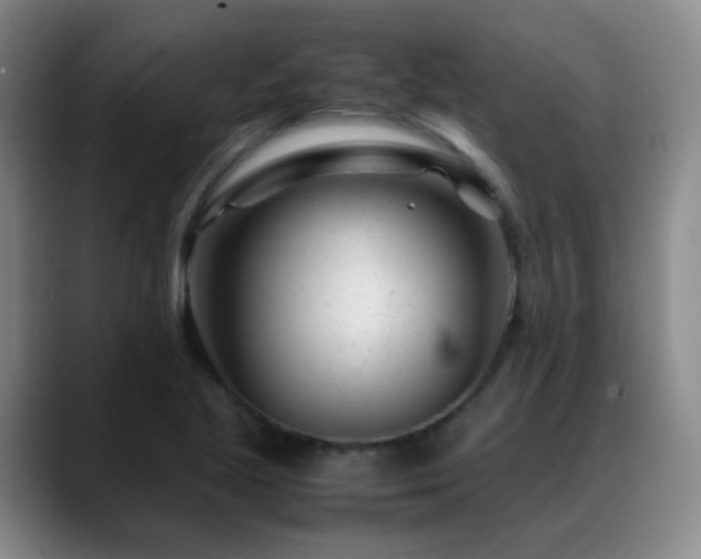 X0000089451221200706151426