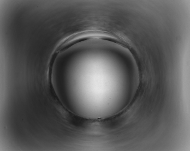 X0000089451222200706151426