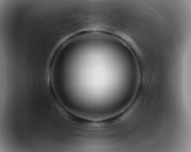 X0000089451224200706151426