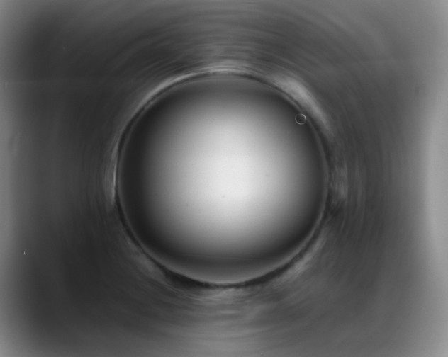 X0000089451228200706151426