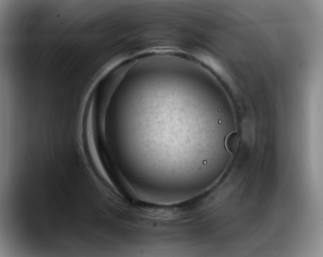 X0000089451229200706151426
