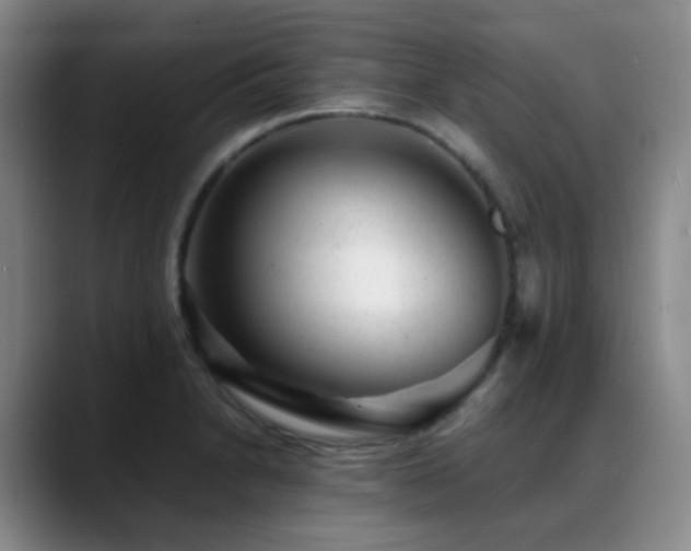 X0000089451230200706151426
