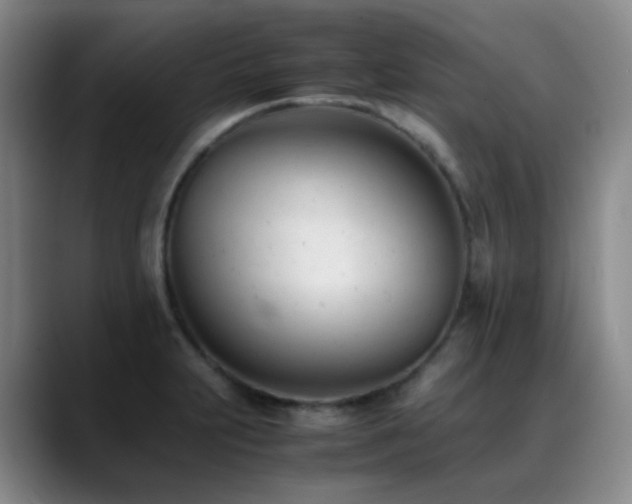 X0000089451231200706151426