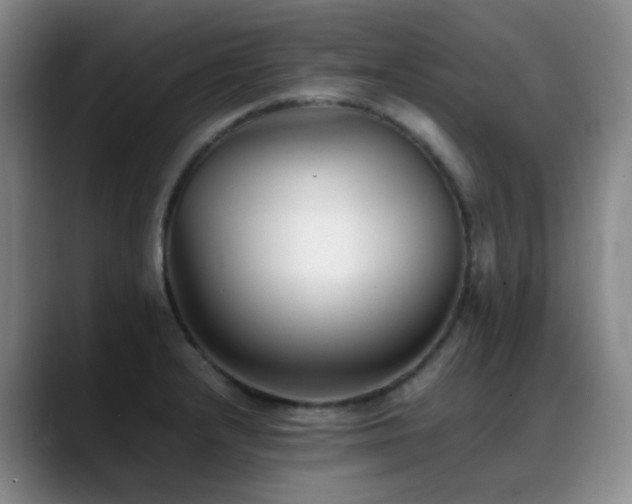 X0000089451232200706151426