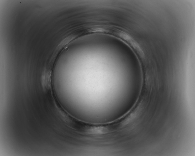 X0000089451233200706151426