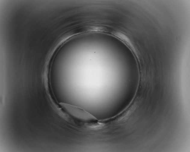 X0000089451235200706151426