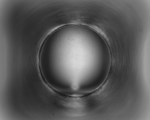 X0000089451239200706151426