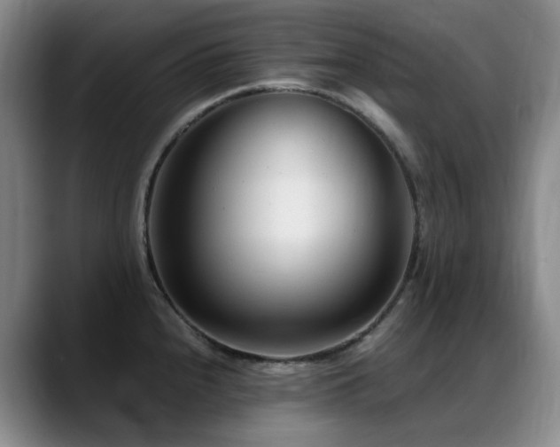 X0000089451240200706151426