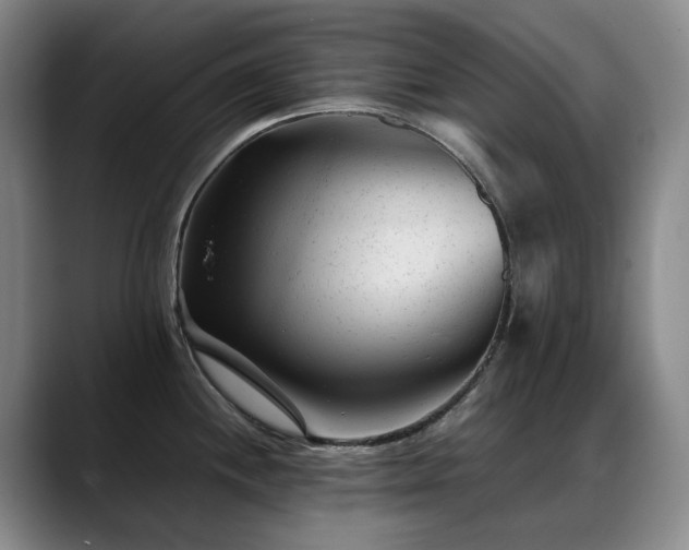 X0000089451244200706151426