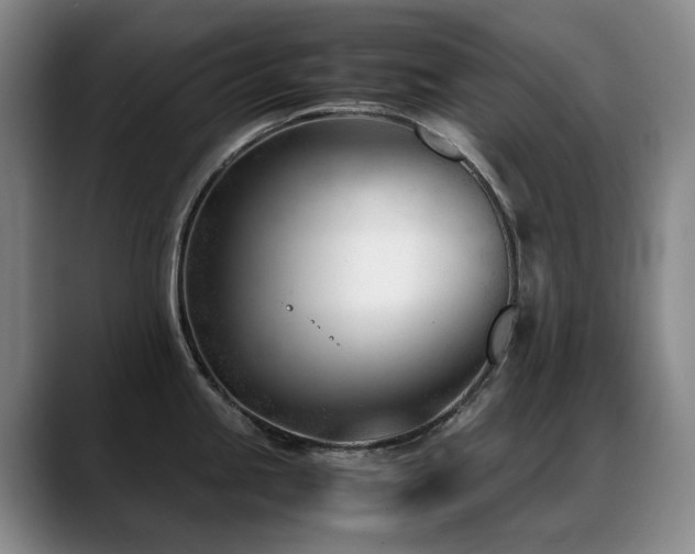 X0000089451245200706151426