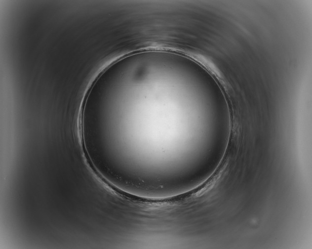 X0000089451247200706151426
