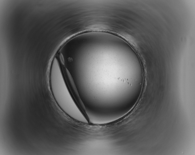 X0000089451248200706151426