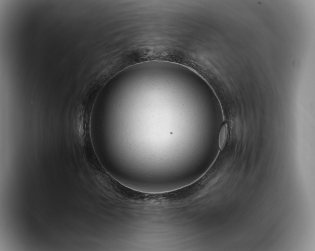 X0000089451250200706151425