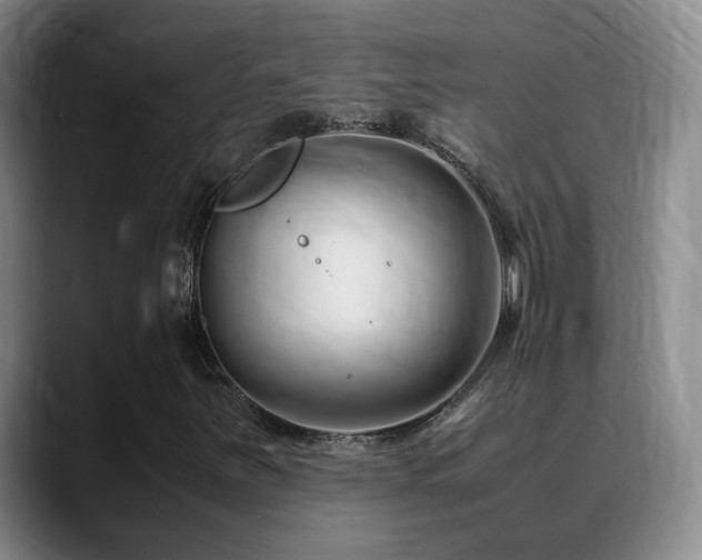 X0000089451251200706151425
