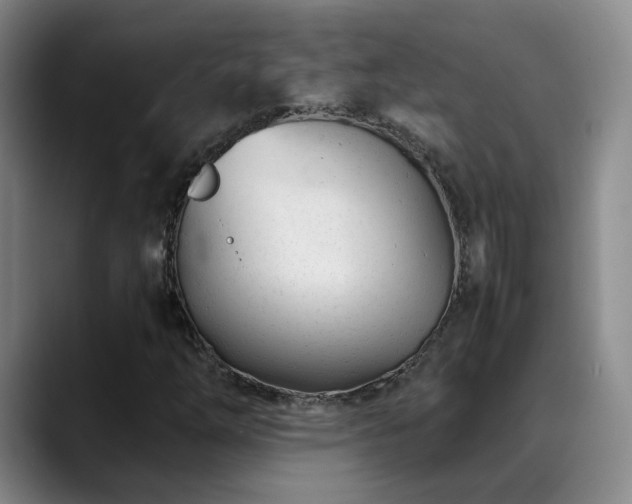 X0000089451254200706151425