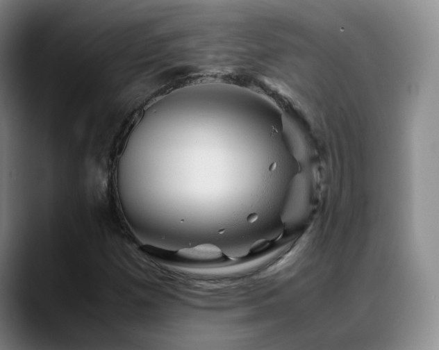 X0000089451257200706151425