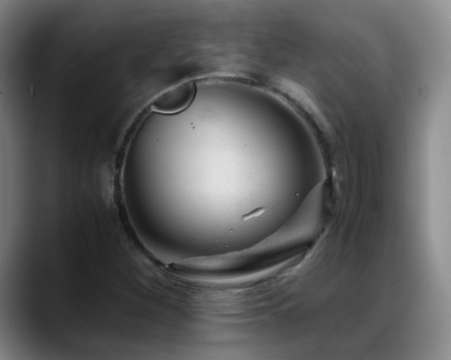 X0000089451260200706151425