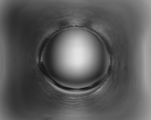 X0000089451261200706151425