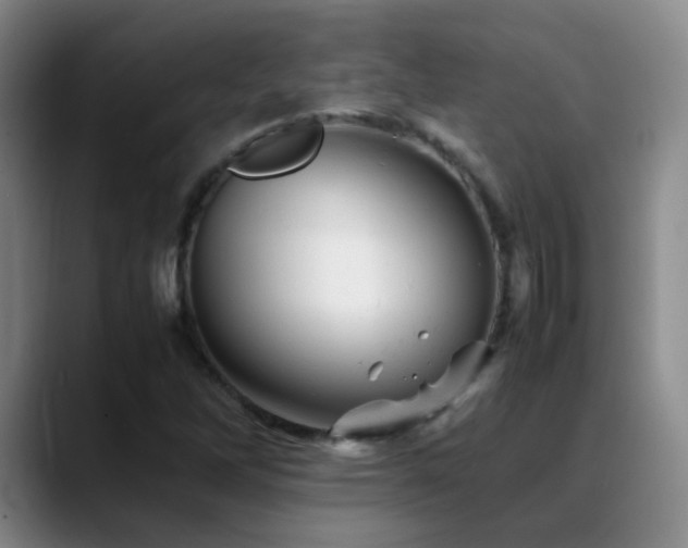 X0000089451262200706151425