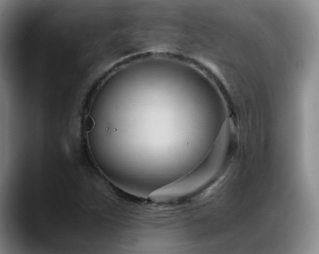 X0000089451263200706151425