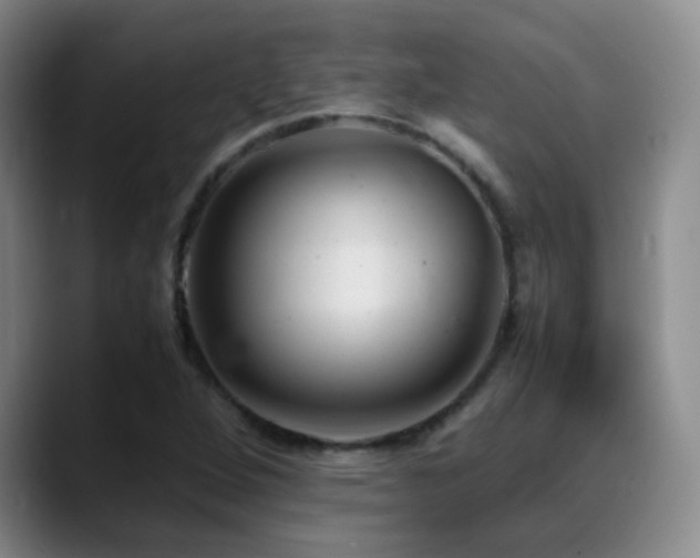X0000089451264200706151425