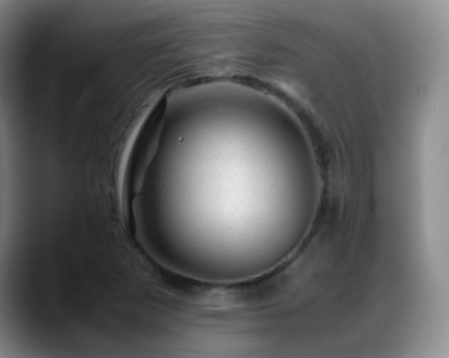 X0000089451265200706151425