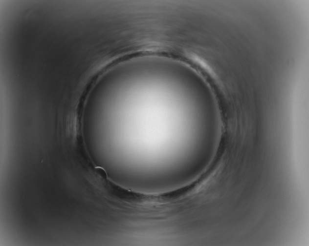X0000089451267200706151425