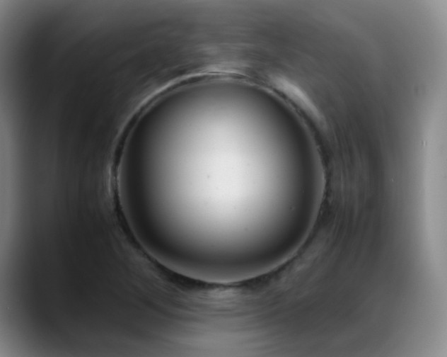 X0000089451268200706151425