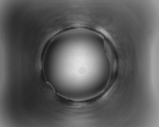 X0000089451269200706151425