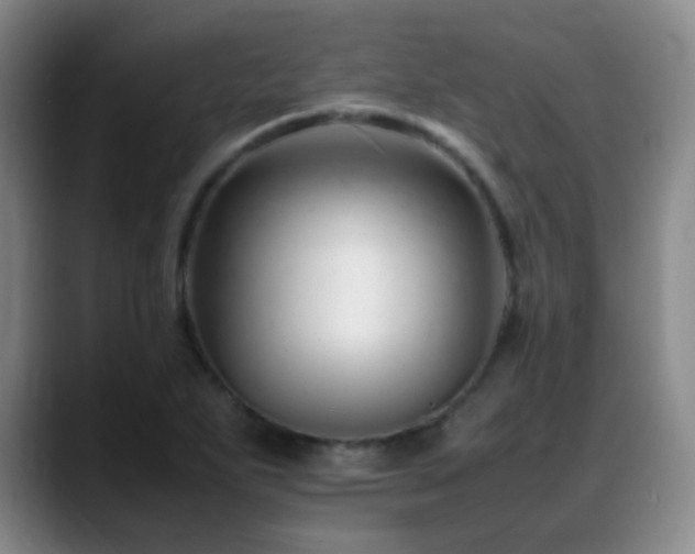 X0000089451271200706151425