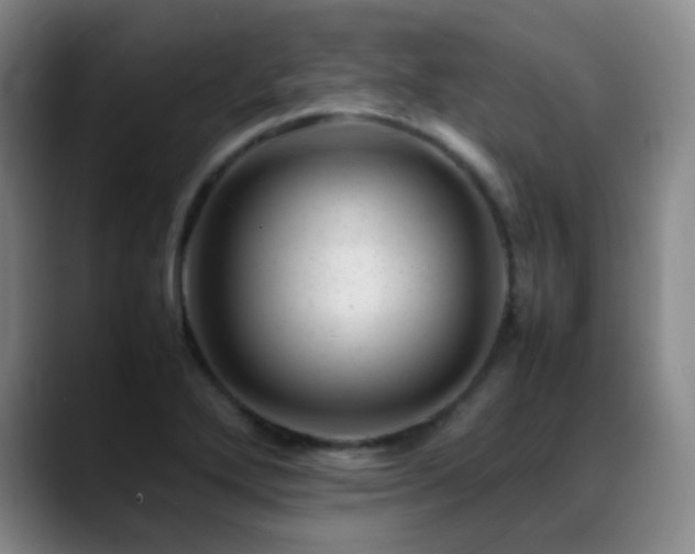 X0000089451272200706151425