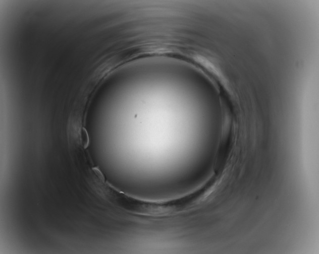 X0000089451273200706151425