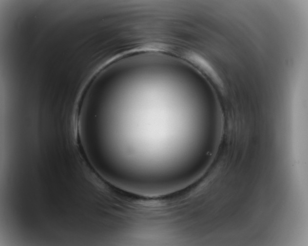 X0000089451276200706151425