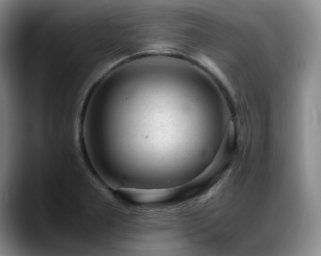 X0000089451277200706151425