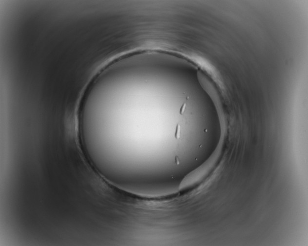X0000089451280200706151425