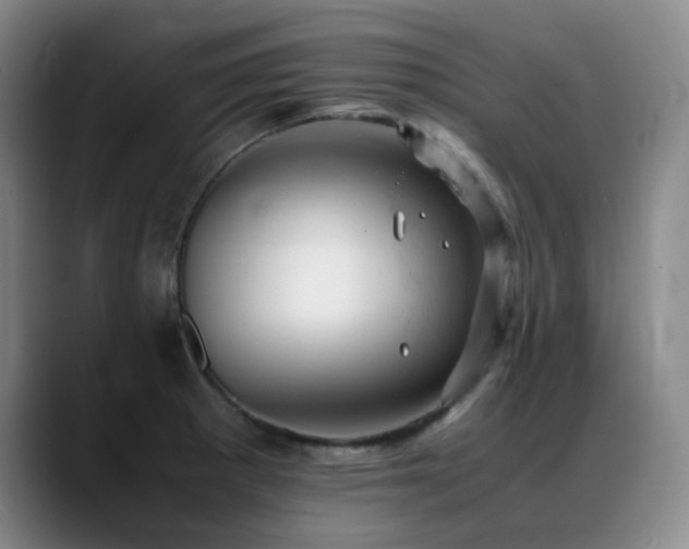 X0000089451281200706151425