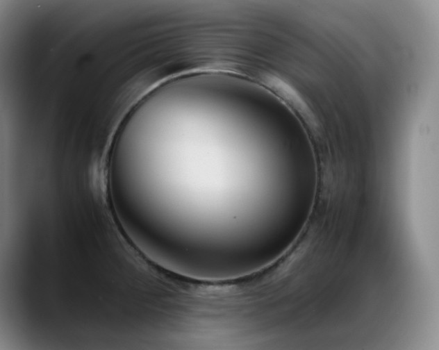 X0000089451284200706151425