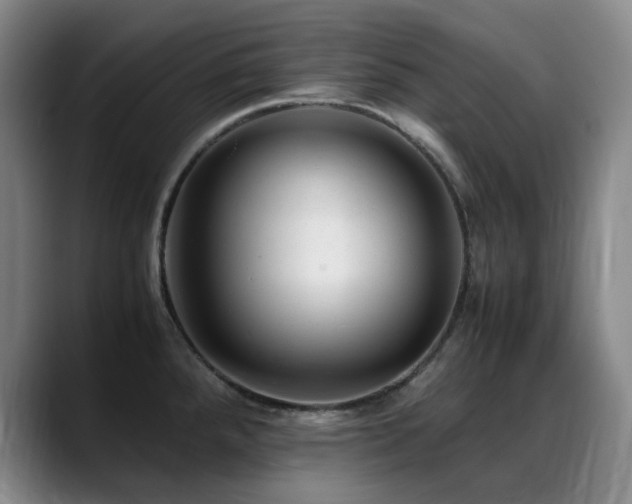 X0000089451288200706151425