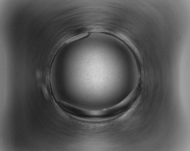 X0000089451289200706151425