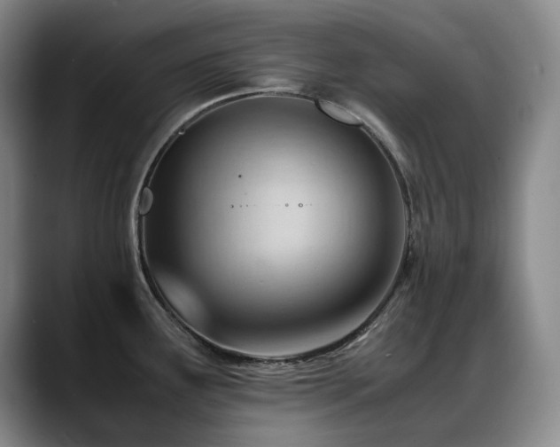 X0000089451291200706151425