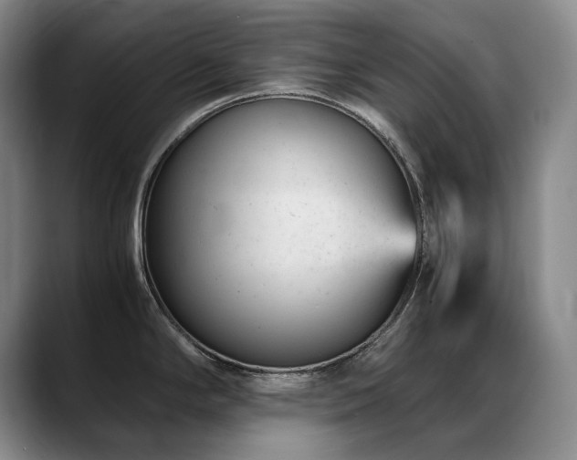 X0000089451294200706151425
