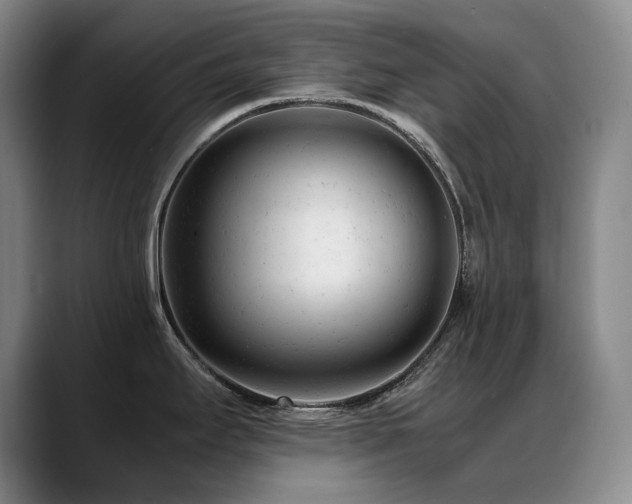 X0000089451295200706151425