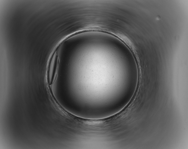 X0000089451296200706151425