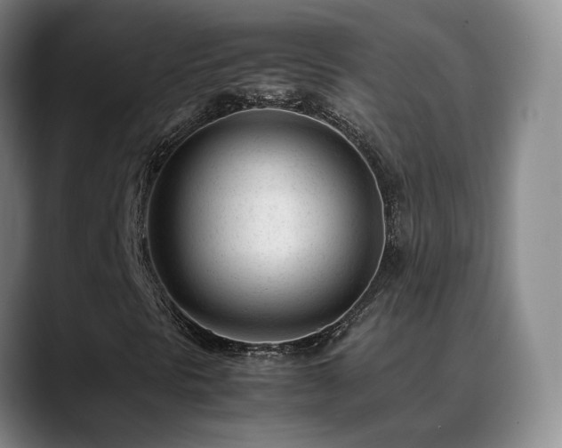 X0000089451297200706151424
