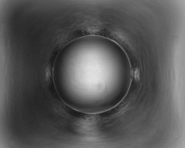 X0000089451299200706151424