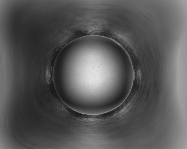 X0000089451300200706151424