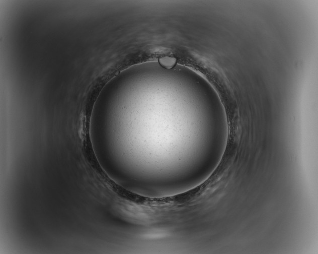 X0000089451301200706151424